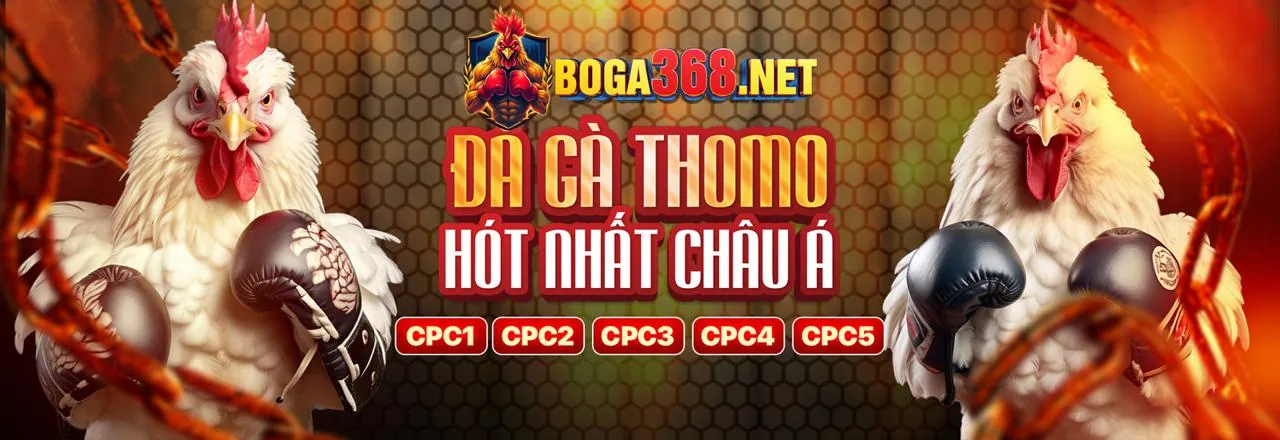 Sân đấu đá gà trực tuyến sôi động tại q88 link vào