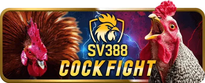 Cá cược bóng đá q88 link vào